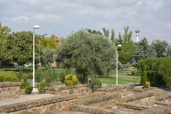 Parque de la Luz 3