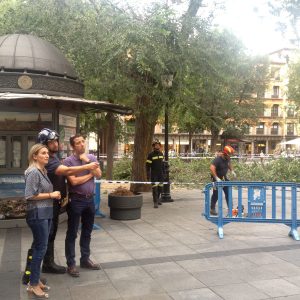 l viento provoca la caída de varias ramas y chapas en diferentes puntos de la ciudad que requiere la intervención de los Bomberos