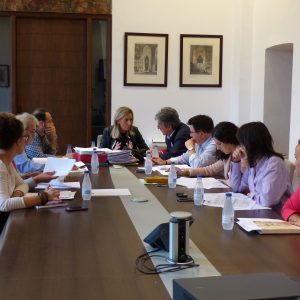 djudicado por 79.000 euros el contrato de telegestión de alumbrado público en zonas comerciales y turísticas del Casco