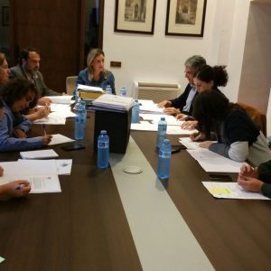 probada la licencia del Hospital Universitario y adjudicado el alumbrado de Navidad