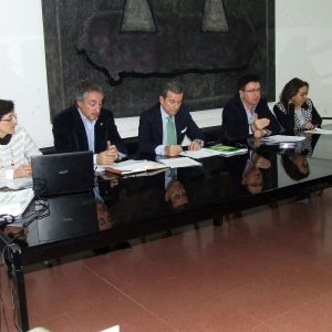 l Gobierno local expone a las entidades sociales y asociaciones vecinales la hoja de ruta de la Estrategia Toledo 2020