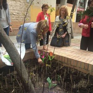 l Ayuntamiento respalda la campaña ‘Apadrina un tulipán’ que se celebra con motivo del Día Mundial del Parkinson
