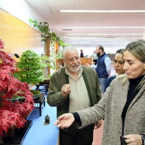 olón inaugura la XXIII exposición del Club Bonsai Toledo que permanecerá abierta hasta el domingo en el Polígono