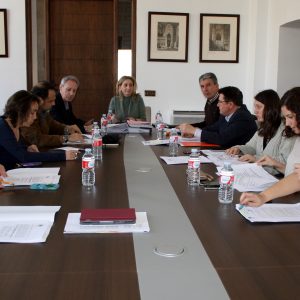 nicio de los trámites administrativos para adjudicar el servicio de  regulación de aparcamiento en la vía pública