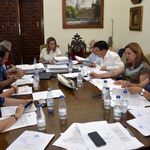 icitada la contratación de entidad financiera como gestora para la recaudación de ingresos municipales