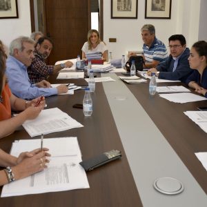 probado un gasto de 212.000 euros para ayudas de Cooperación al Desarrollo