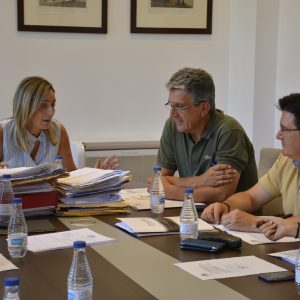 icitadas las obras de acondicionamiento del Parque Río Miño, en el Polígono, y el paseo peatonal Arroyo del Aserradero por 340.000 euros.