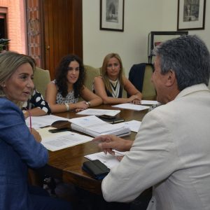 a Junta de Gobierno Local aprueba la instalación de un graderío en el campo de fútbol anexo del Salto del Caballo