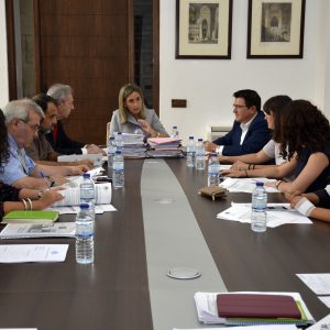 lasificadas las ofertas para ejecutar las obras de acondicionamiento del Parque Río Miño