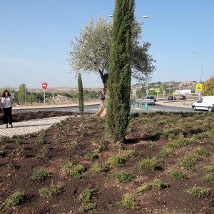 l Ayuntamiento acomete el adecentamiento integral en la rotonda situada junto al Restaurante El Chuletero