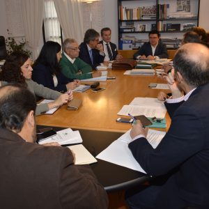 onsenso en la Comisión de Urbanismo para la elaboración de las bases tipo de los programas de actuación urbanística