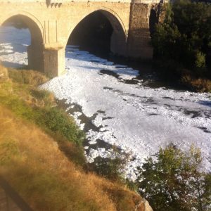 l Ayuntamiento valorará la posibilidad de emprender acciones legales ante la situación “límite” que presenta el Tajo este sábado