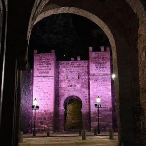 l Ayuntamiento iluminará mañana los torreones de la Cava y el Puente de Alcántara para conmemorar el Día del Cáncer de Mama
