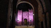 l Ayuntamiento de Toledo se suma al Día Internacional de la Niña con una iluminación especial en la Puerta de Alcántara