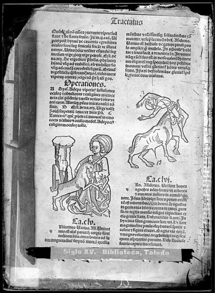 CA-0812-VI_Grabado que ilustra el libro Hortus sanitatis, vel tractatus de herbis et plantis, de animalibus omnibus et de lapidibus , publicado en Maguncia en 1491