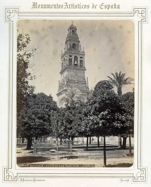 Córdoba-Catedral - Patio de los Naranjos-Colección Luis Alba_LA-631049-PA