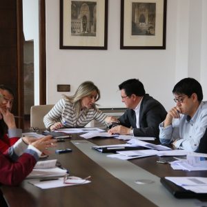 a EMSV aprueba la enajenación de una parcela en el Polígono residencial para promover vivienda pública