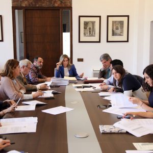 probada la convocatoria para ayudas de Cooperación  Internacional y Educación al Desarrollo por 225.000 euros.