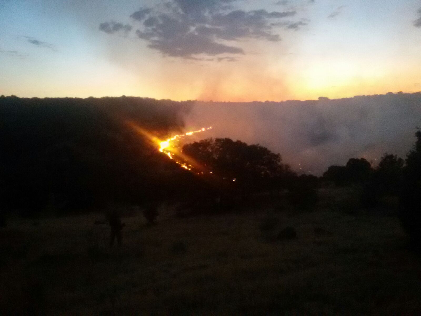 Bomberos de Toledo. Incendio Forestal