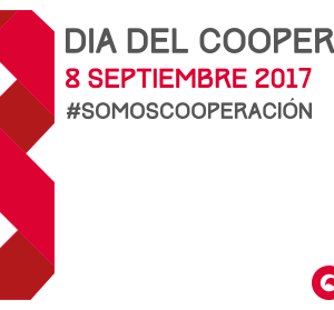  de septiembre, Día del Cooperante