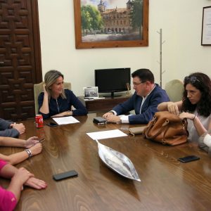 djudicadas las obras de reparación de cubiertas en la Biblioteca del Polígono y el nuevo campo de césped en la Escuela de Gimnasia