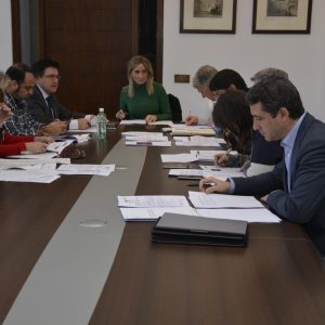 a EMVS aprueba los presupuestos de 2018, liquida préstamos y consolida su papel como medio al servicio del Ayuntamiento