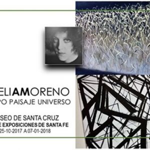 VISITA GUIADA A LA EXPOSICIÓN: “CUERPO PAISAJE UNIVERSO” DE AMELIA MORENO