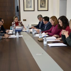 a Junta de Gobierno Local clasifica las ofertas para la regulación del aparcamiento (ORA) y el servicio de grúa