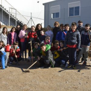 os escolares del colegio Valparaíso participan en la plantación de lirios en la parcela anexa habilitada por el Consistorio