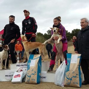 l Ayuntamiento participa en la entrega de trofeos del III Mushing Day Benéfico que ha congregado a más de 200 personas