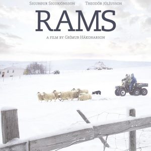 Cine-Fórum Solidario: Rams (El valle de los carneros). Colabora, Coopera y comparte.