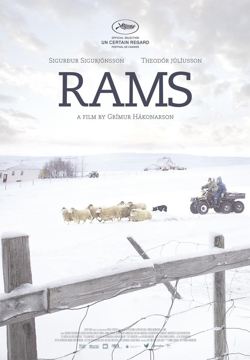 https://www.toledo.es/wp-content/uploads/2018/01/hrutar_rams-820102054-large-1-834x1200.jpg. Cine-Fórum Solidario: Rams (El valle de los carneros). Colabora, Coopera y comparte.