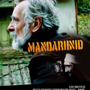 Cine-Fórum Solidario: Mandarinas. El lado más humano de la guerra.