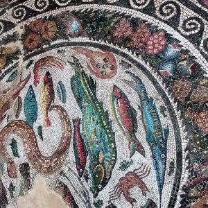 Pieza del mes en el museo. Exposición comentada del mosaico romano de las Cuatro Estaciones
