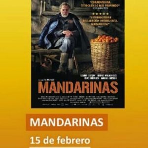 Cine-Forum Solidaridad 365 +1