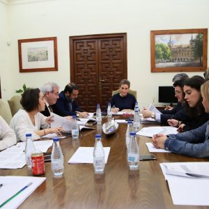 icitada la contratación del servicio de la Barca Pasaje del río Tajo