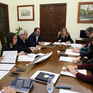 unta de Gobierno Local