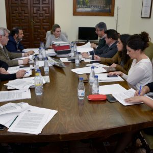 icitadas la ejecución de obras para la zanja única y la enajenación de parcela en el Paseo de Rosa