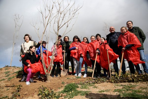 13_plantacion_arboles_valparaiso