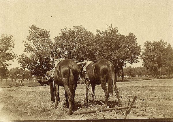 20 - Prueba de maquinaria en la Vega Baja el 20 de agosto de 1909