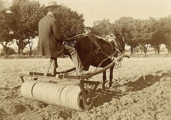 21 - Prueba de desterronador en la Vega Baja el 20 de agosto de 1909