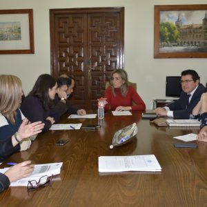 a Junta de Gobierno Local aprueba el sometimiento a información pública de la modificación 28
