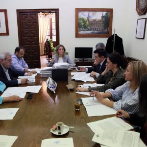 lasificadas las ofertas presentadas al contrato de ejecución de zanja única