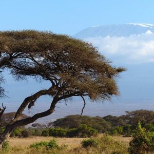 res desafíos humanitarios para África en 2018