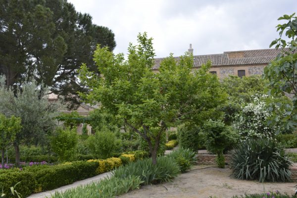 Patio y jardín fundación Sopeña 2