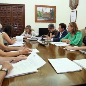 l Ayuntamiento adquiere columpios inclusivos para diferentes parques de la ciudad