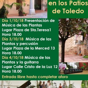 Música de las Plantas en los Patios de Toledo: Música de las Plantas y Percusión
