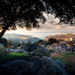unset Wine 2018