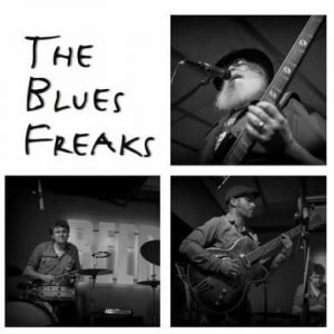 ¡Ya es viernes!. Concierto: The Blues Freaks