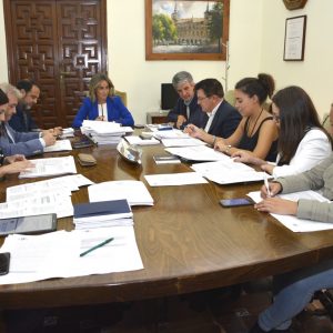 mpuestas seis sanciones por infracciones a la Ley de Ordenación del Transporte en la ciudad de Toledo